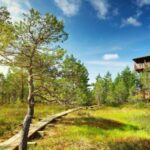 Lahemaa: VIP Tour to Estonias Oldest National Park - Who Would Love This Tour?