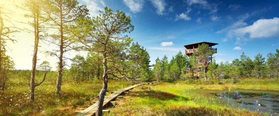 Lahemaa: VIP Tour to Estonias Oldest National Park - Who Would Love This Tour?