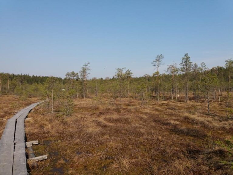 Lahti: Guided Nature Walk The Heart of The Swamp - Exploring Lahti’s Natural Beauty: A Detailed Review