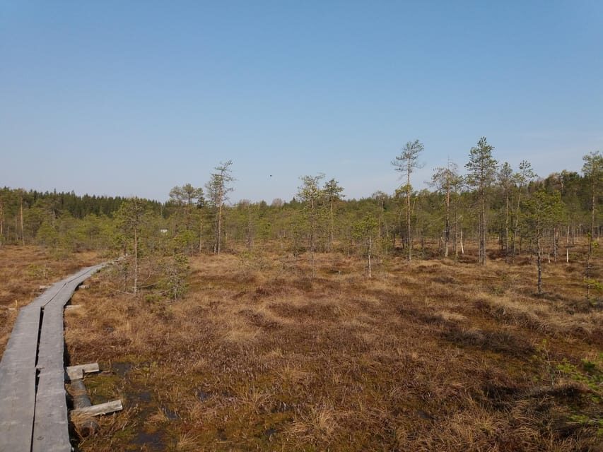 Lahti: Guided Nature Walk The Heart of The Swamp - Exploring Lahti’s Natural Beauty: A Detailed Review