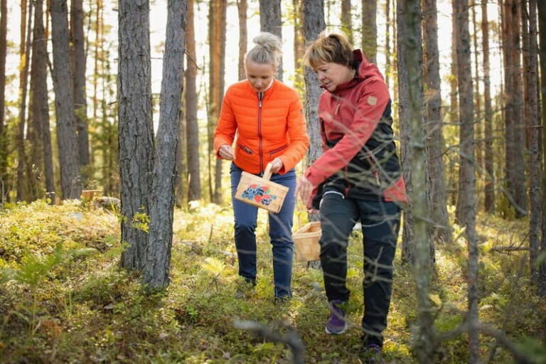 Lahti: Wild Food Foraging Tour with Tastings - The Sum Up