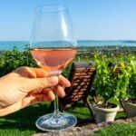 Lake Balaton private wine tasting and sightseeing from Budapest - Who Will Love This Tour?