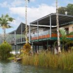 Lake Barrine Boat Cruise  Discover Queenslands Hidden Gem - A Detailed Look at the Lake Barrine Boat Cruise