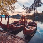 Lake Bled & Ljubljana - Shore Excursion from Trieste - Who Would Love This Tour?
