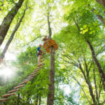 Lake Como Adventure Park Day Access - A Detailed Look at Lake Como Adventure Park Day Access