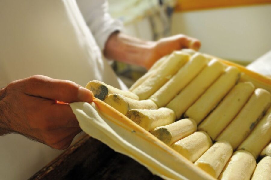 Lake Como: Cheese Factory Tour and Tasting in Valsassina - Who Will Enjoy This Tour?