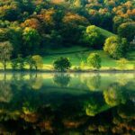 Lake District - Rail Tour from London with Cream Tea and Cruise - Transportation and logistics