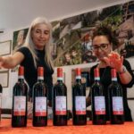 Lake Garda: Corvina Wine Tasting with Vineyard Walk - An In-Depth Look at the Corvina Vineyard Experience