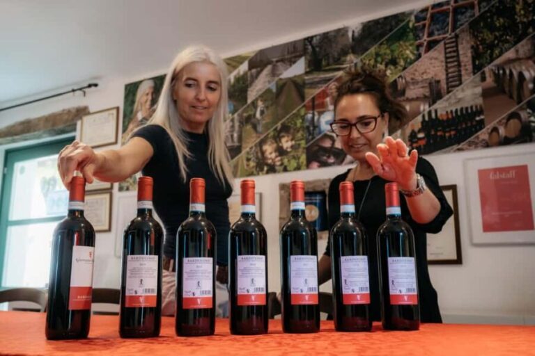 Lake Garda: Corvina Wine Tasting with Vineyard Walk - An In-Depth Look at the Corvina Vineyard Experience