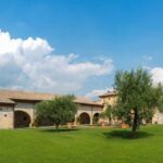 Lake Garda: Garda Hills Wine Tour and Tasting - A Detailed Look at the Garda Hills Wine Tour and Tasting