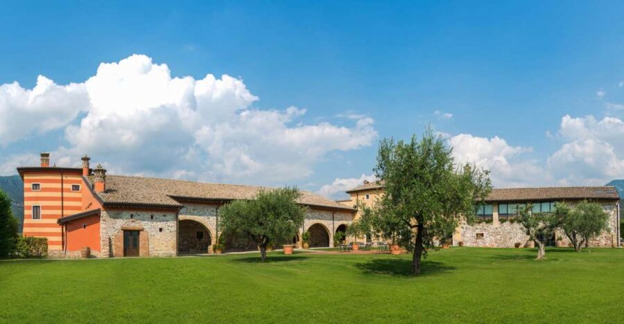 Lake Garda: Garda Hills Wine Tour and Tasting - A Detailed Look at the Garda Hills Wine Tour and Tasting