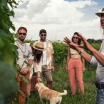Lake Garda: Pic Nic in the vineyard with wine tasting - The Experience in Detail