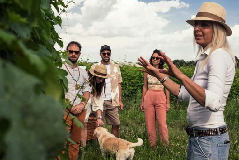 Lake Garda: Pic Nic in the vineyard with wine tasting - The Experience in Detail