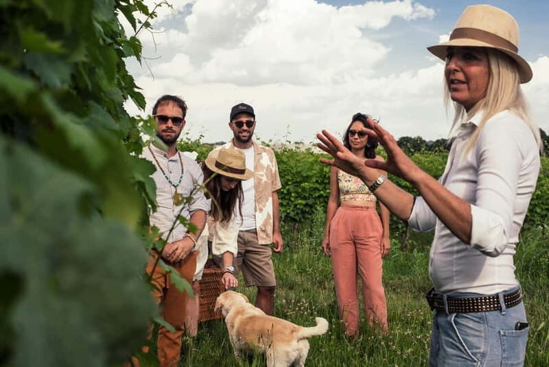 Lake Garda: Pic Nic in the vineyard with wine tasting - The Experience in Detail