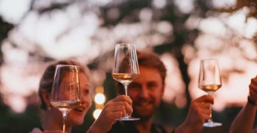 Lake Garda: Vineyard Tour and Tasting on the Hills - Practical Details and Tips