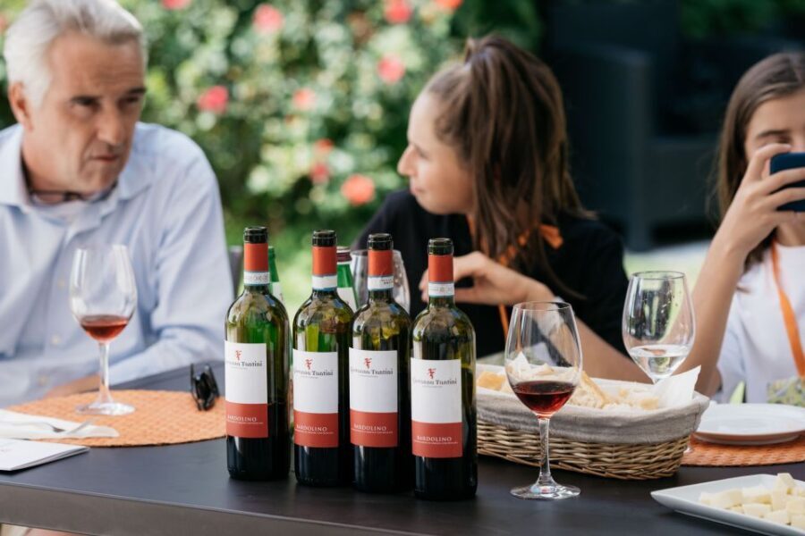 Lake Garda: Vineyards Tour and Wine Tasting - Final Thoughts