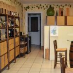 Lake Garda: Wine and Food Tastings in the Vineyards - A Deep Dive Into the Lake Garda Wine and Food Tasting Tour