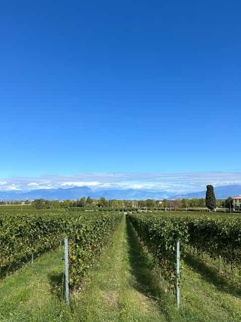 Lake Garda: Wine Tasting and Myths Tour with Local Snacks - Why This Tour Works for Travelers