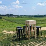 Lake Garda: Wine Tasting with Panoramic View - Why This Tour Provides Real Value