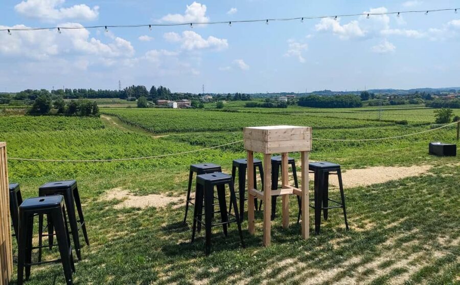 Lake Garda: Wine Tasting with Panoramic View - Why This Tour Provides Real Value