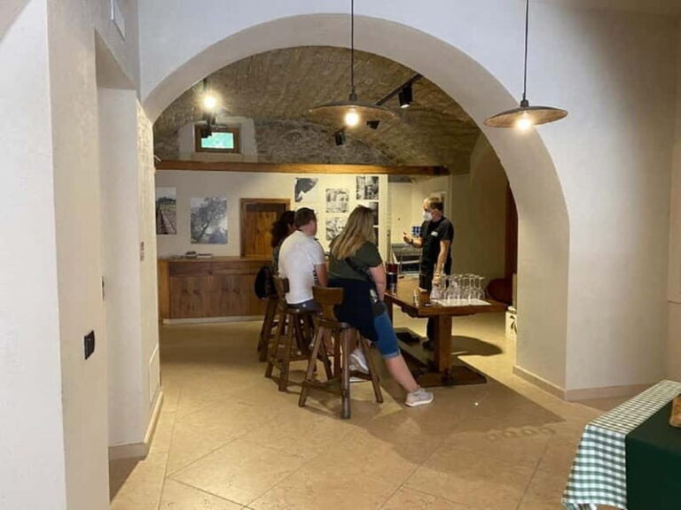 Lake Garda: Winery Visit with Wine and Olive Oil Tasting - A Close Look at the Lake Garda Winery Tour