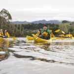 Lake Karapiro: Evening Kayak Glowworm Tour - Final Thoughts: Is It Worth It?