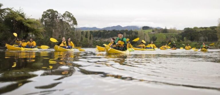 Lake Karapiro: Evening Kayak Glowworm Tour - Final Thoughts: Is It Worth It?
