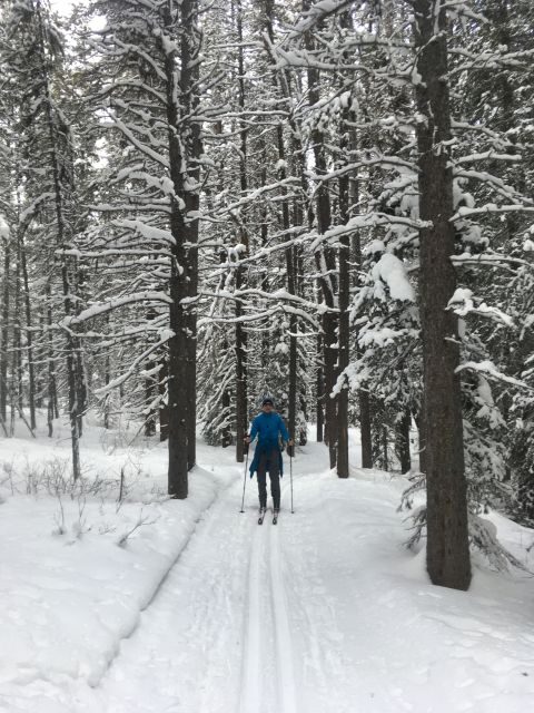 Lake Louise: Cross Country Skiing Lesson with Tour - Why This Tour Offers Great Value