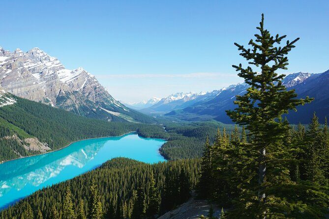 Lake Louise Moraine Lake Peyto Lake Icefield Parkway Day Trip - Transportation and Group Size