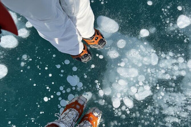 Lake Louise & Snow Fun Day Tour - What the Reviews Say