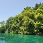 Lake Lucerne boat tour for a full day! - Why This Tour Offers Real Value