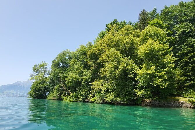 Lake Lucerne boat tour for a full day! - Why This Tour Offers Real Value