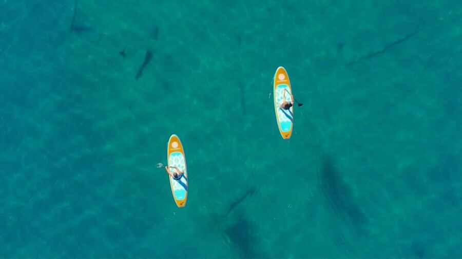 Lake Mead: Paddle Board Rental - A Close Look at the Lake Mead Paddle Board Rental