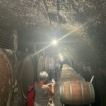 Lake of Bolsena: Private Cellar Tour and Wine Tasting - FAQ