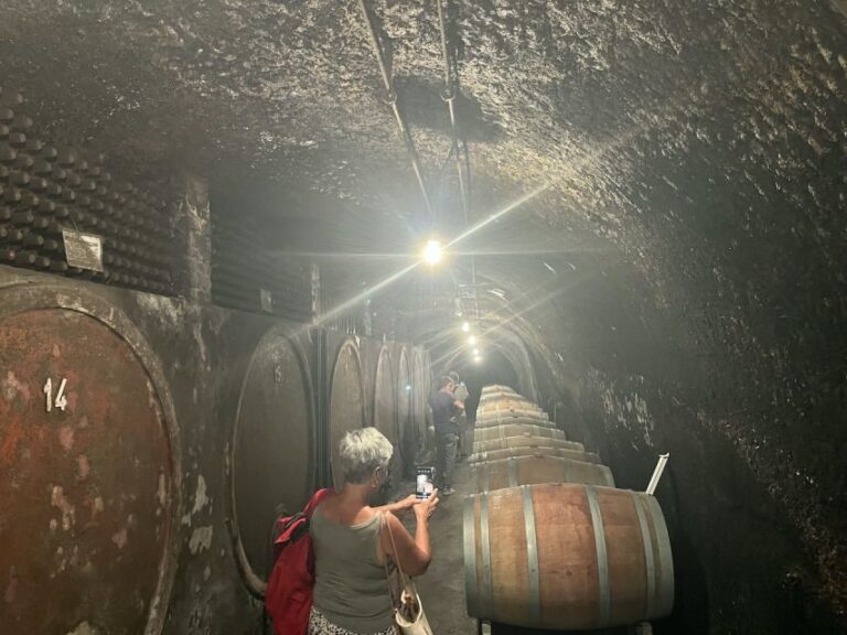 Lake of Bolsena: Private Cellar Tour and Wine Tasting - FAQ