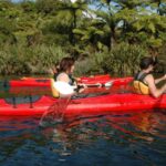 Lake Rotoiti & Hot Pools Guided Kayak - A Closer Look at the Experience