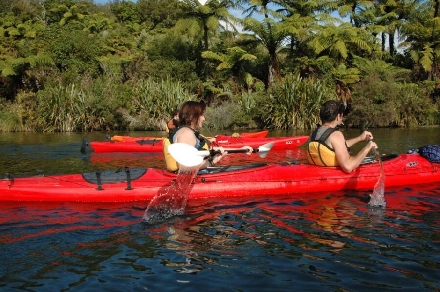 Lake Rotoiti & Hot Pools Guided Kayak - A Closer Look at the Experience