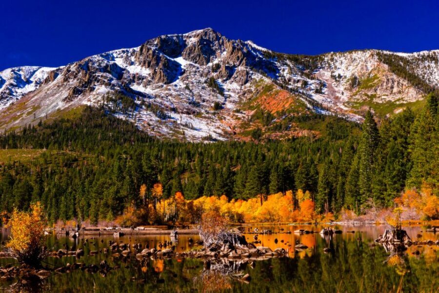 Lake Tahoe: Half-Day Photographic Scenic Tour - Who Is This Tour Best Suited For?