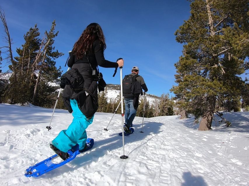 Lake Tahoe: Snowshoeing Guided Tour - Who Should Consider This Tour?