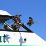 Lake Taupo: Maori Rock Carvings 10.30 AM 1.5-Hour Cruise - Why You’ll Love the Lake Taupo Maori Rock Carvings Cruise