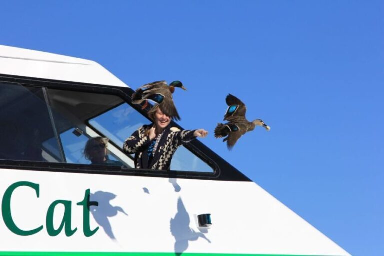 Lake Taupo: Maori Rock Carvings 10.30 AM 1.5-Hour Cruise - Why You’ll Love the Lake Taupo Maori Rock Carvings Cruise