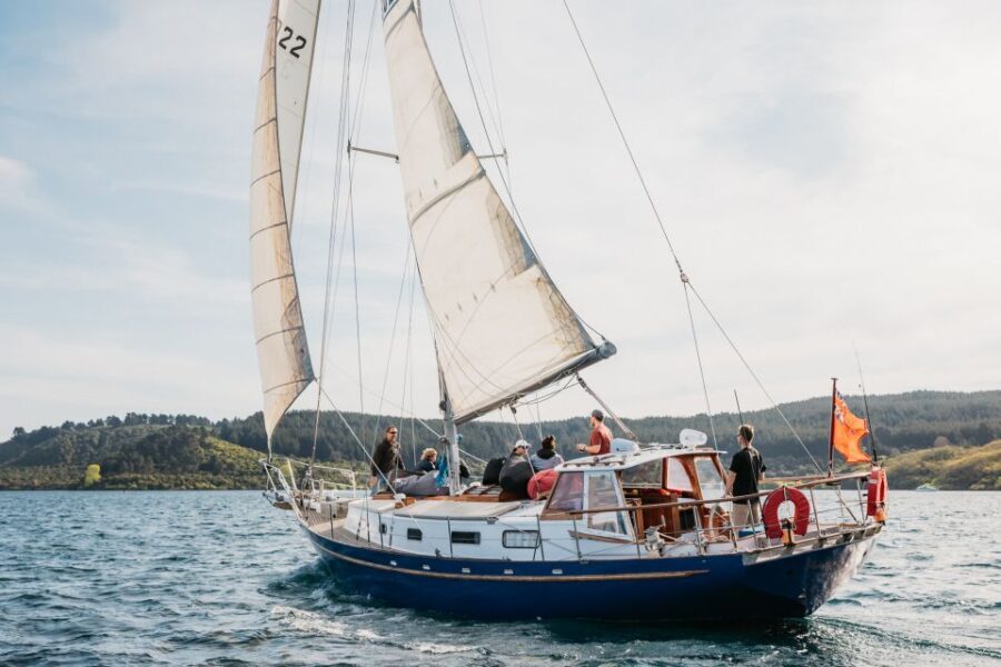 Lake Taupo: Sailboat Trip to the Maori Rock Carvings - Who Would Enjoy This Tour?