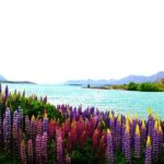 Lake Tekapo Stargazing & Mount Cook 2-Day Tour from Christchurch - Final Thoughts