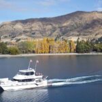 Lake Wanaka 1-Hour Cruise Including Wine and Cheese Board - A Detailed Look at the Lake Wanaka 1-Hour Cruise