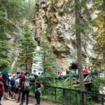 Lakes Moraine, Louise, Emerald, Johnston Canyon & Yoho Tour - The Experience: What You Can Expect