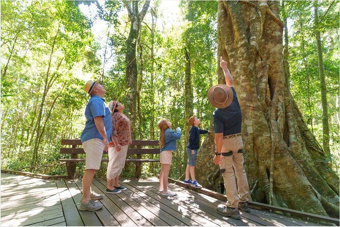 Lamington National Park, O'Reilly's & Vineyard Tour - Frequently Asked Questions