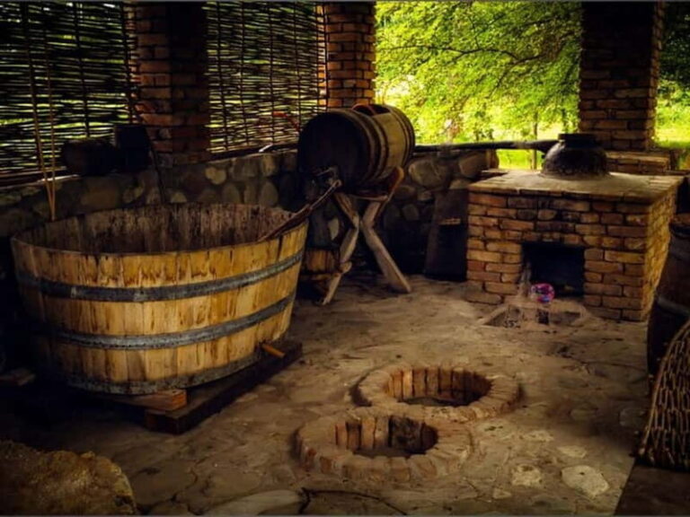Land of the Sun Full Day Wine and Grapes Tour in Kakheti - The Practicalities and Value