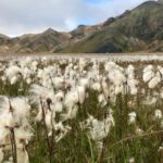 Landmannalaugar by Super Jeep - Who Would Enjoy This Tour?