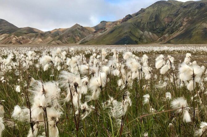 Landmannalaugar by Super Jeep - Who Would Enjoy This Tour?