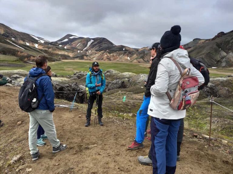 Landmannalaugar Hike and Hot Springs from Reykjavik & Hella - The Experience in Practice: What Travelers Are Saying